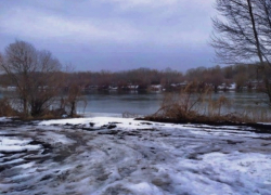 Росприроднадзор проводит обследования рек Воронежской области