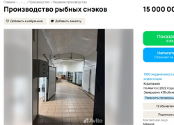 Производство рыбных снеков продают за 15 миллионов в Воронежской области 