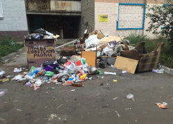 Свалка на улице Любы Шевцовой в Воронеже вызвала дискуссию об управе Советского района