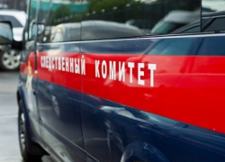 В мусорном баке в Воронеже нашли тело новорожденного ребенка
