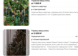 «Украшу и уйду»: в Воронеже появилась услуга для ленивых