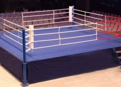 В сербской Суботице воронежская спортсменка взяла «золото» на турнире по боксу