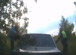 Голливудская погоня за ВАЗом опозорила воронежских полицейских 