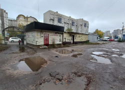 "Грязевые ванны" по пути к остановке смутили воронежцев