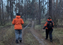 Бабушка всю ночь блуждала по лесу: воронежские волонтеры нашли потерявшуюся женщину
