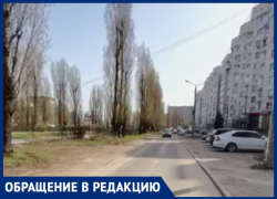 «Запущенность и разруха»: позорное состояние сквера Аллеи Славы показали в Воронеже