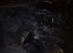 В Воронеже гироскутер едва не погубил семью с тремя детьми