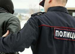 Обругавший полицейского матом воронежец пойдет под суд