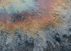 На воде Воронежского водохранилища заметили нефтяное пятно