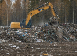 Ущерб на 3 млн рублей при ликвидации свалки выявили воронежские силовики