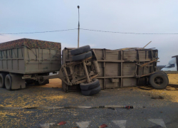 Опубликованы фото с места смертельного столкновения грузовиков под Воронежем