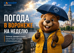 Солнце, грозы и +32: что приготовила погода воронежцам на грядущей неделе
