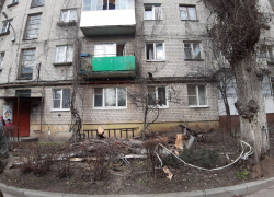 Сухой тополь разбил окна в воронежской многоэтажке на левом берегу