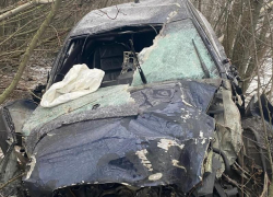 Водитель врезался в деревья в Воронежской области