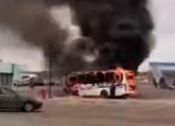 Опубликовано видео горевшего у торгового центра автобуса в Воронеже 