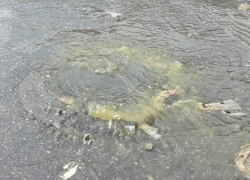 Воронежскую улицу Шишкова затопили реки фекалий