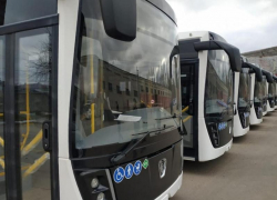 Воронежская область получит дополнительно 43 новых автобуса 