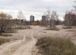 Прогулочная зона появится на левобережной набережной Воронежа