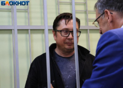 Бывший ректор ВГУ Дмитрий Ендовицкий обжаловал свой восьмилетний приговор 