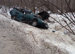 Водитель погиб в ДТП с деревом у заповедника в Воронеже 