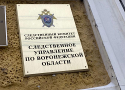 Двухлетний малыш погиб, выпав из окна в Воронеже 