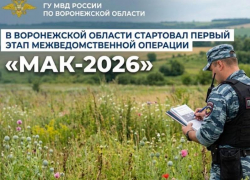 Первый этап операции «Мак-2026» стартует в Воронежской области