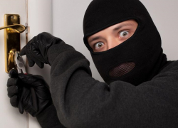 В Воронежской области будут судить пугливого вора