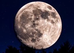 Стало известно, что ждёт воронежцев 14-15 марта