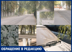 Удушающее испытание: во что превратилась оживленная улица в Воронеже 