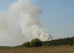 Масштабный пожар возле воронежского детского лагеря сняли на видео