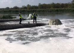 После сообщений о болоте на реке Воронеж водоем проверит Росприроднадзор