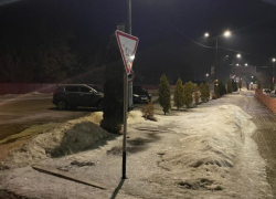 Мужчину, забившего воронежца арматурой на Красной площади, приговорили к 10 годам 