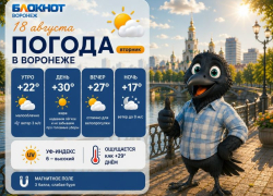 Жаркие дни и холодные ночи: прогноз погоды в Воронеже