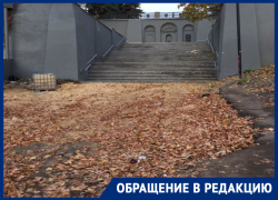 Массовое заболевание срывает реконструкцию улицы в Воронеже