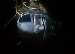 Жуткие фото с места ДТП с двумя пострадавшими показали под Воронежем