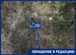 Трогательное спасение кота с помощью вышки сняли в Воронеже