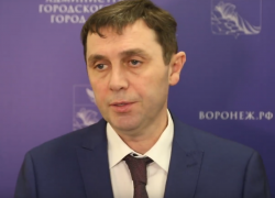 "Сложно что-то исправить": мэр Петрин назвал места с худшей уборкой снега в Воронеже