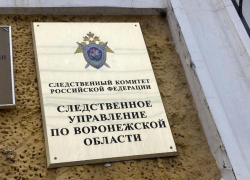 Неизвестный изнасиловал школьницу в Воронеже