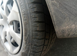  Школьника сбила иномарка на переходе в Воронежской области