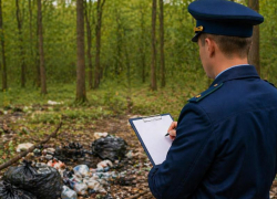 Воронежские прокуроры погуляли по Вековой Дубраве и встретились с неладным