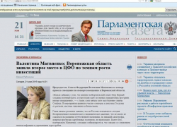 Станет ли Воронеж родиной «грандиозных программ импорт извращения»?