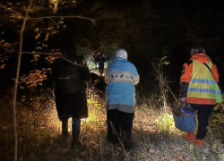 «Кто здесь?»: воронежская бабушка провела ночь в овраге