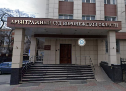 Отмены уголовного дела добивается воронежская судья Светлана Мальцева