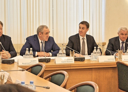 В Госдуме продолжили воронежский троллинг Медведева по развитию села