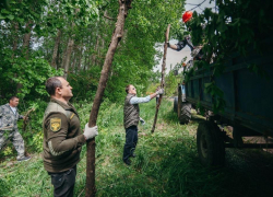 Алексей Гордеев, экологи и волонтеры расчистили берег воронежской реки