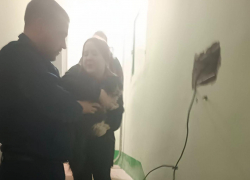 Замурованного котика достали из стены в Воронеже