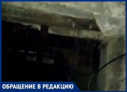 "Такая у нас потеха": текучие фекалии сняли на видео в темном подвале Воронежа