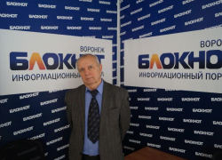 Купив участок под Воронежем, пенсионер наткнулся на целый «змеиный» клубок мошенников