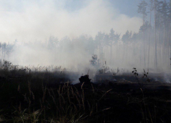 Под Воронежем произошел ландшафтный пожар на площади 0,5 гектаров