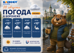 Согреваемся кофе и куртками: прогноз погоды в Воронеже